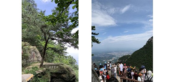 江蘇泰隆減速機(集團)股份有限公司 江蘇泰隆減速機(集團)股份有限公司